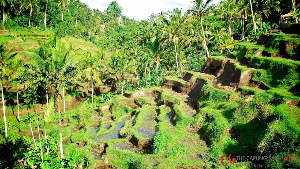 Capung Sakti Villas Ubud  Exterior photo